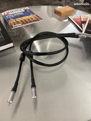 Bêta Interconnect RCA 1.2m